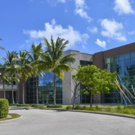 Museum building fronted by palm trees and colorful art