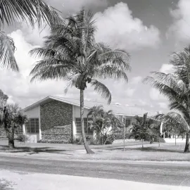 One story building surrounded by palm trees